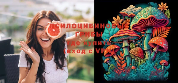 ГАЛЛЮЦИНОГЕННЫЕ ГРИБЫ Алзамай