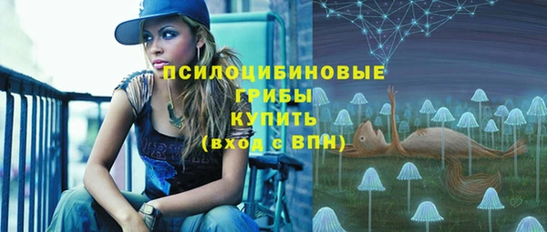 МДПВ Алексеевка