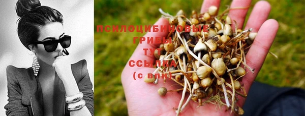 МДПВ Алексеевка