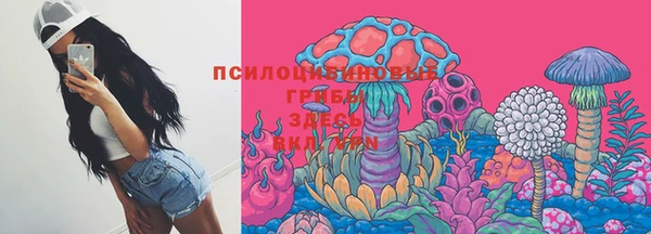 ГАЛЛЮЦИНОГЕННЫЕ ГРИБЫ Алзамай